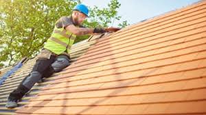 Best Roof Maintenance and Cleaning  in Vermillion, SD